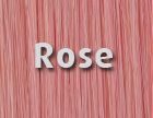 extensions farbauswahl Rose