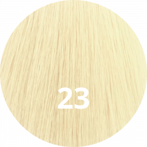 #23