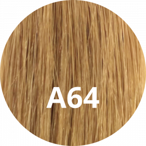 #A64