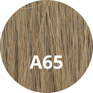 #A65