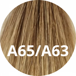 #A65&A63