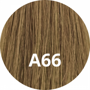 #A66